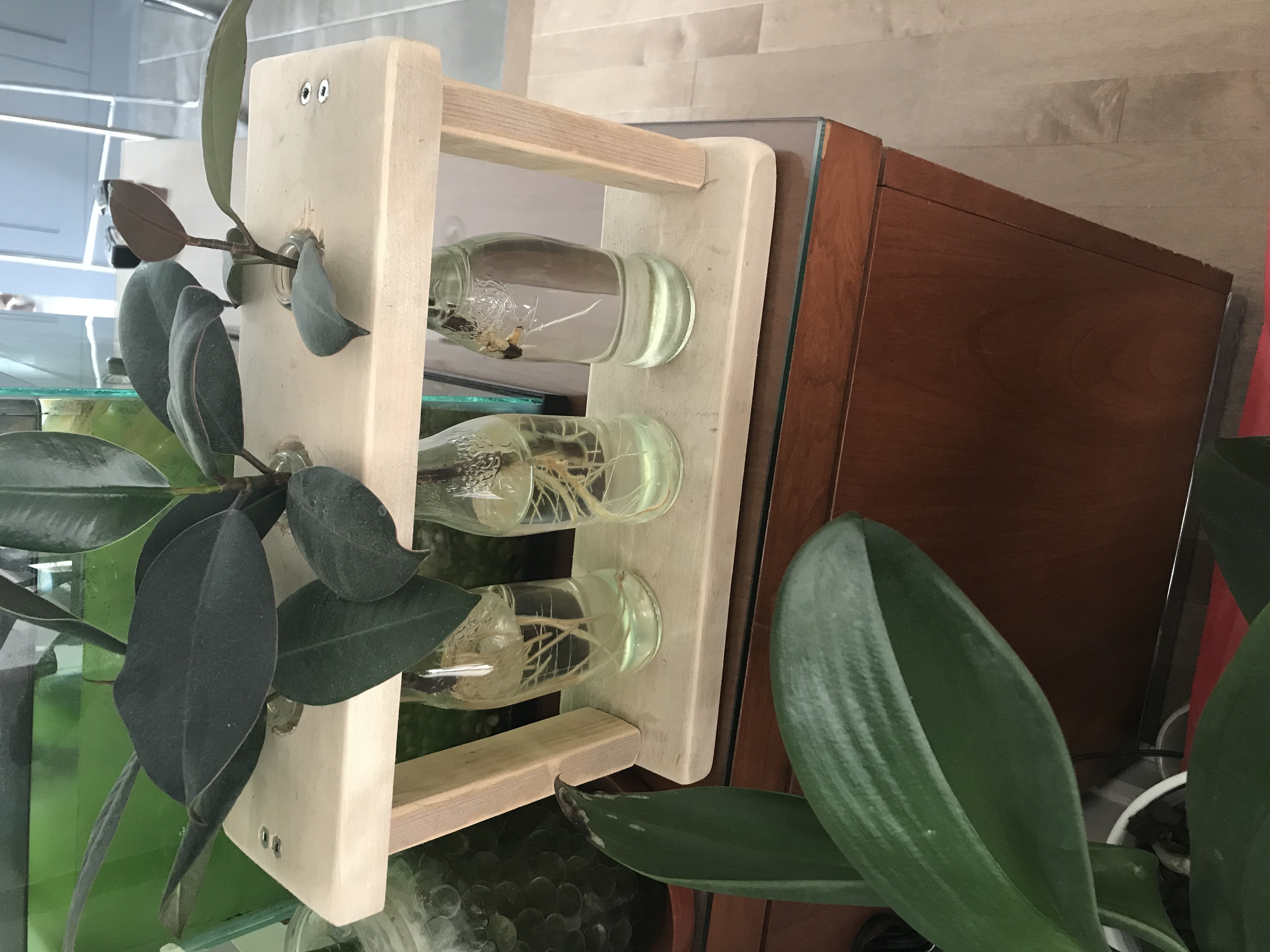 propagation station